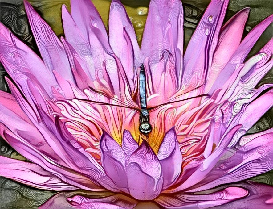 Dragonfly balanced on a water lily - photo by Deb 