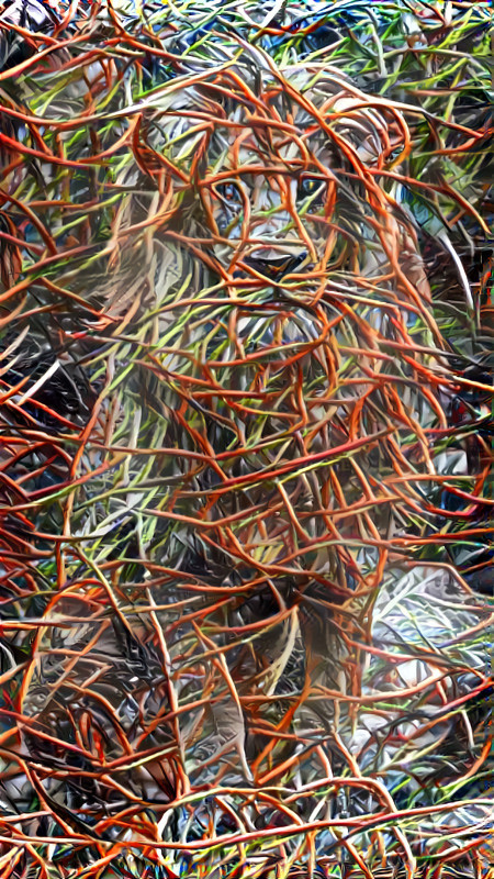 lion made of wires