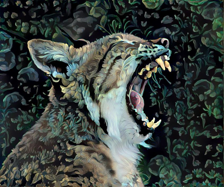 ~ Wild Purrfection, Bobcat ~