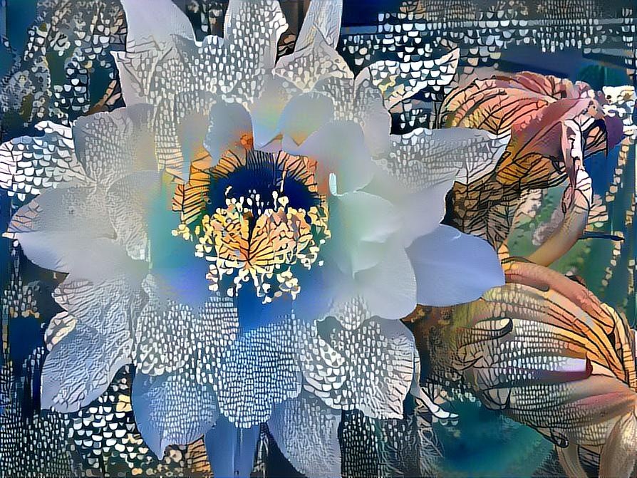 cactus flower tree fabric 1 high resolution