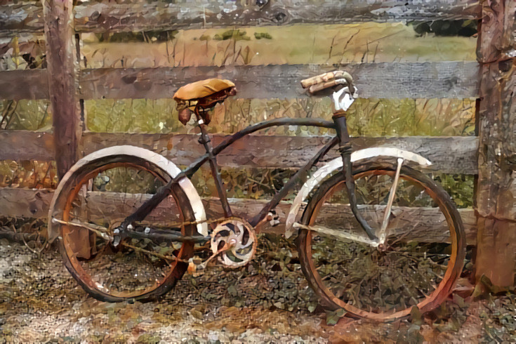 Baird's Bike
