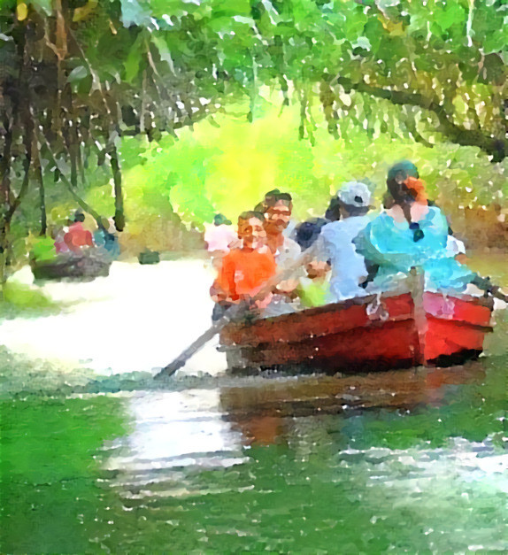 Mangrove boating - “waterlogue” app filter