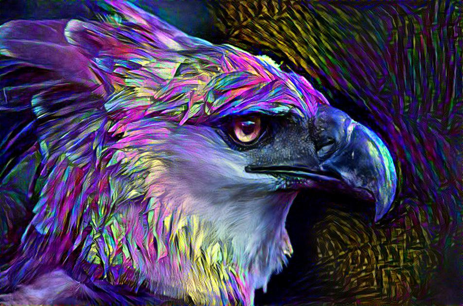 ~ Raptor, Harpy Eagle ~