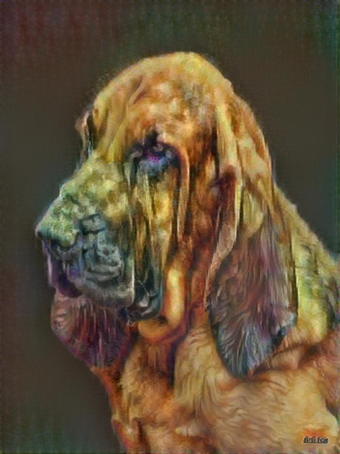 My bloodhound girl Irma