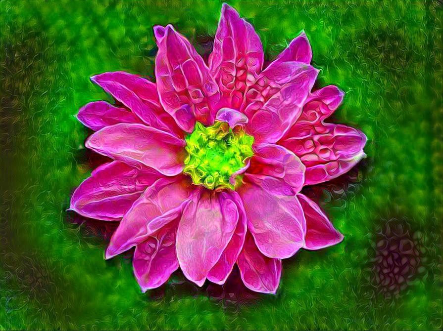  Pink flower with green background