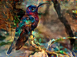 Strange Fire-Jewel Hummingbird