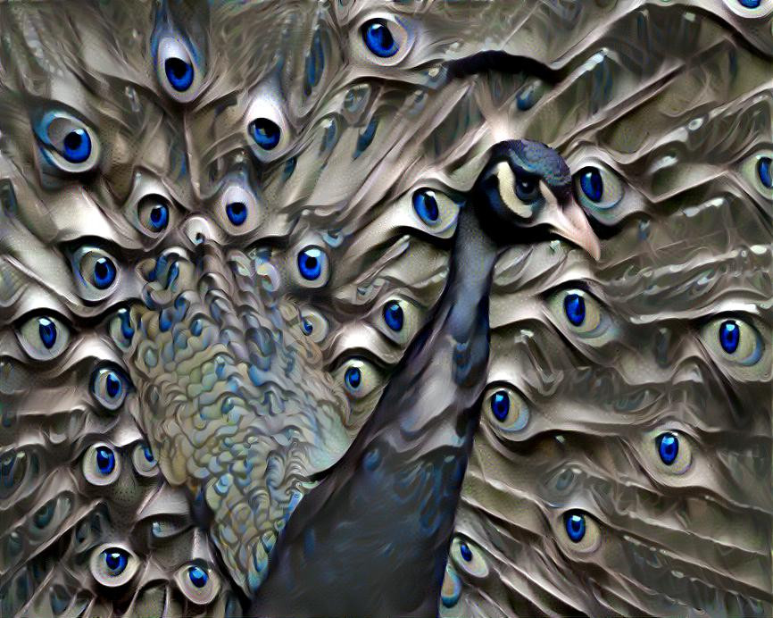 Eye of the peacock 