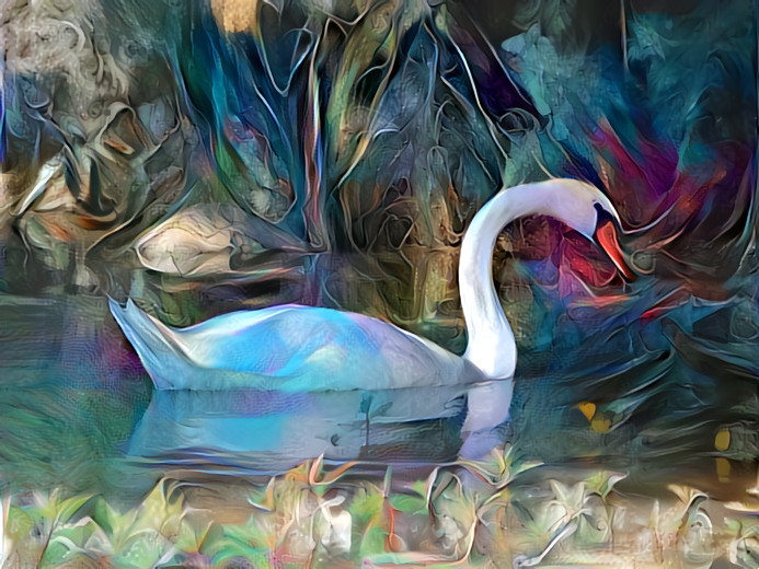 Swan Lake - photographer D Berk