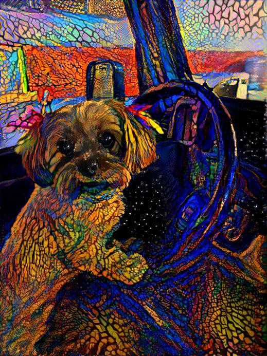 Chewie at the Wheel 