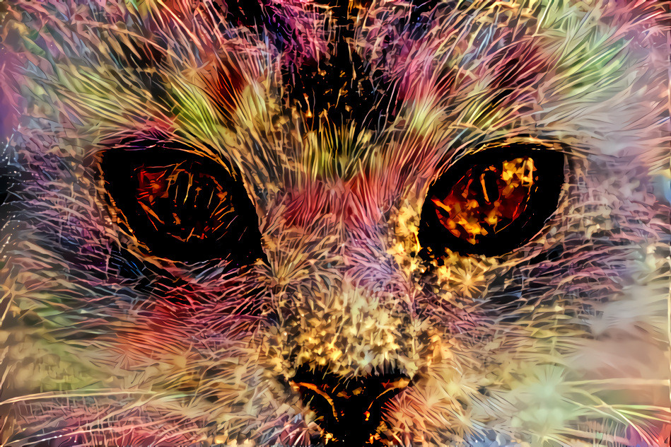 A cat with firework soul  (Original - http://www.1zoom.me/ru/wallpaper/517661/z1305.8/)