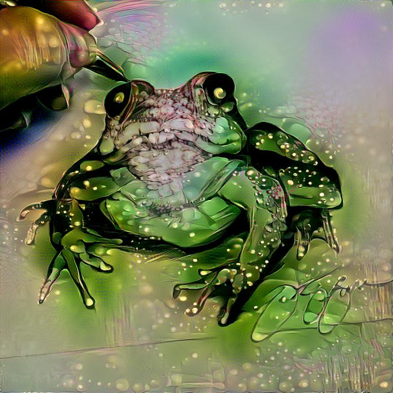 Drew A Frog