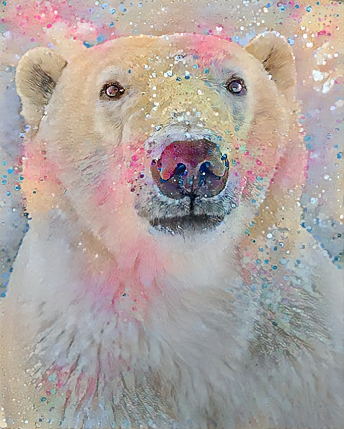 colorful bear