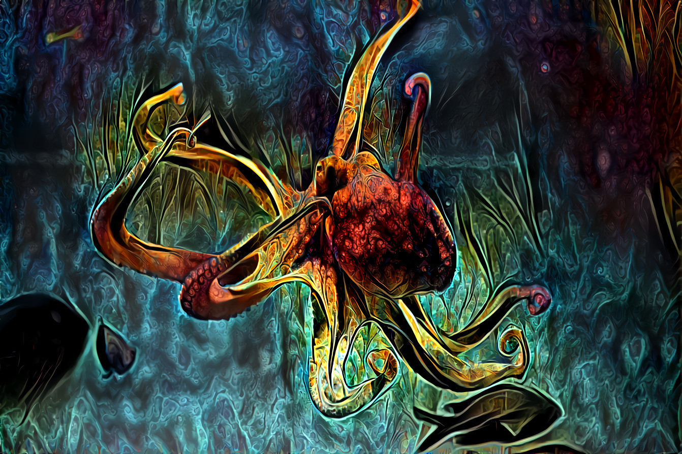 A Cephalopod