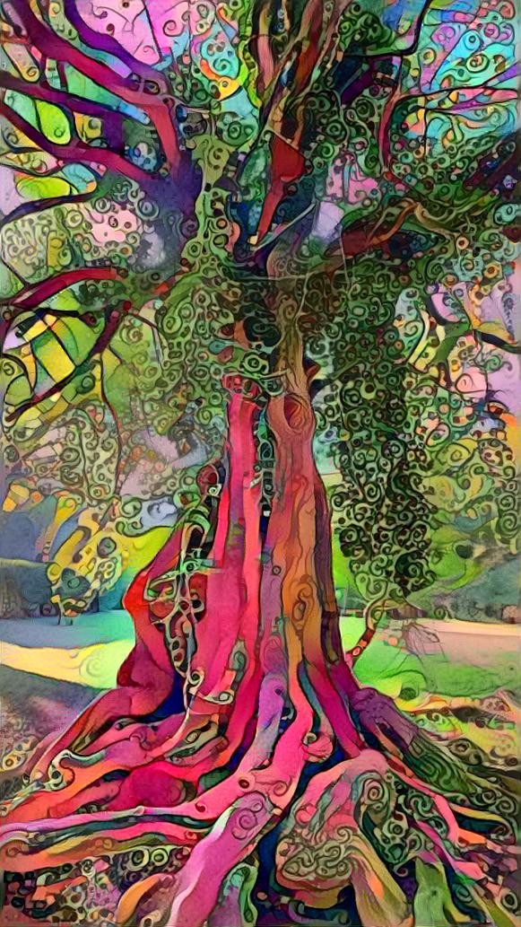 Rowan Oak Tree, III