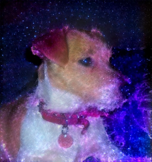 Space Doggo