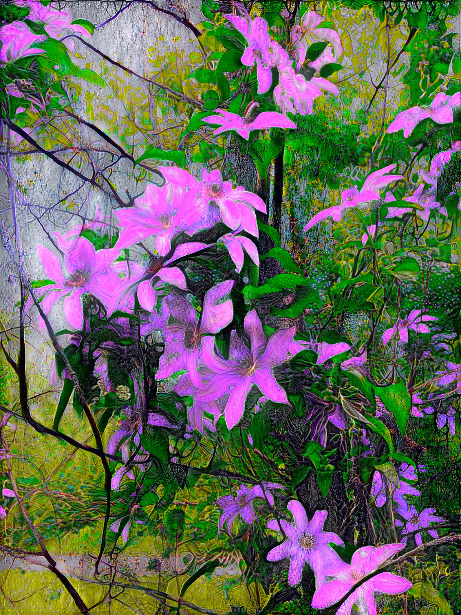 Clematis in color retain