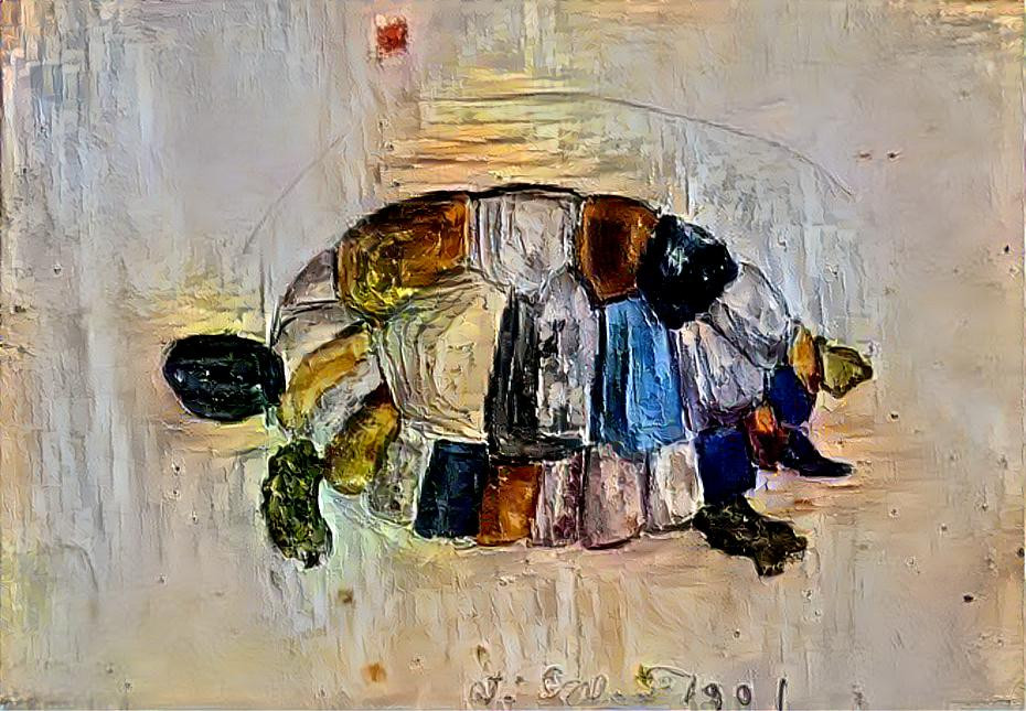  Colored Turtle
