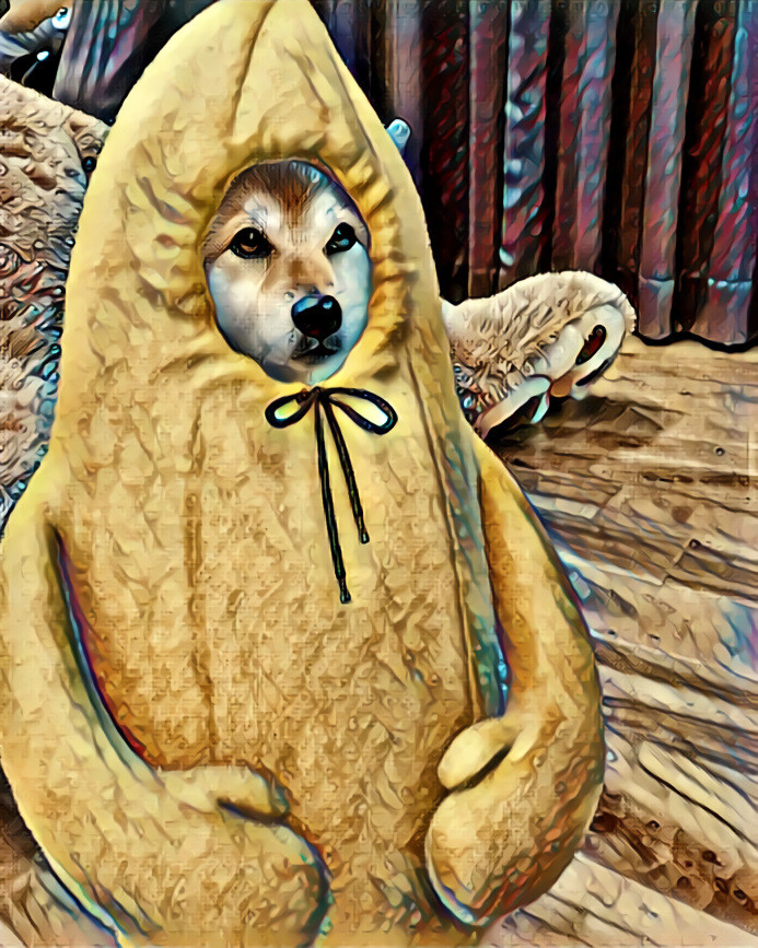 Lol. A pupper in a banana costume