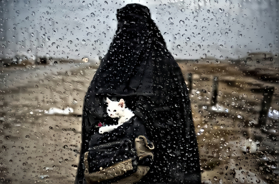 Woman in Burka with cat