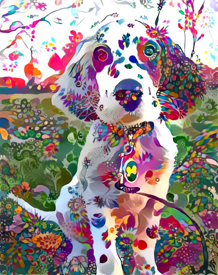 Flower power doggie. She is a hippie.