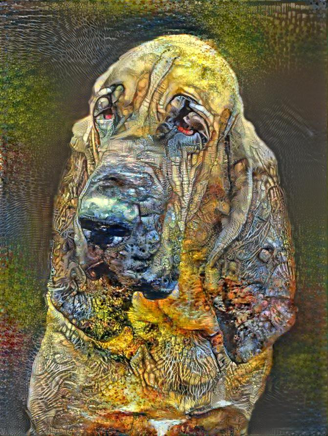 My bloodhound girl Pearleen