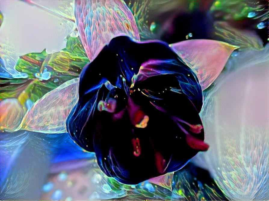 Dark Face Flower