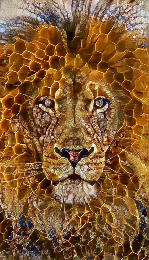 Honeycombed - lion