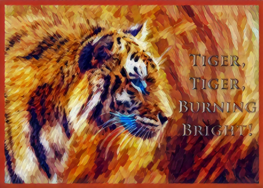 Tiger, Tiger, Burning Bright! - TS6