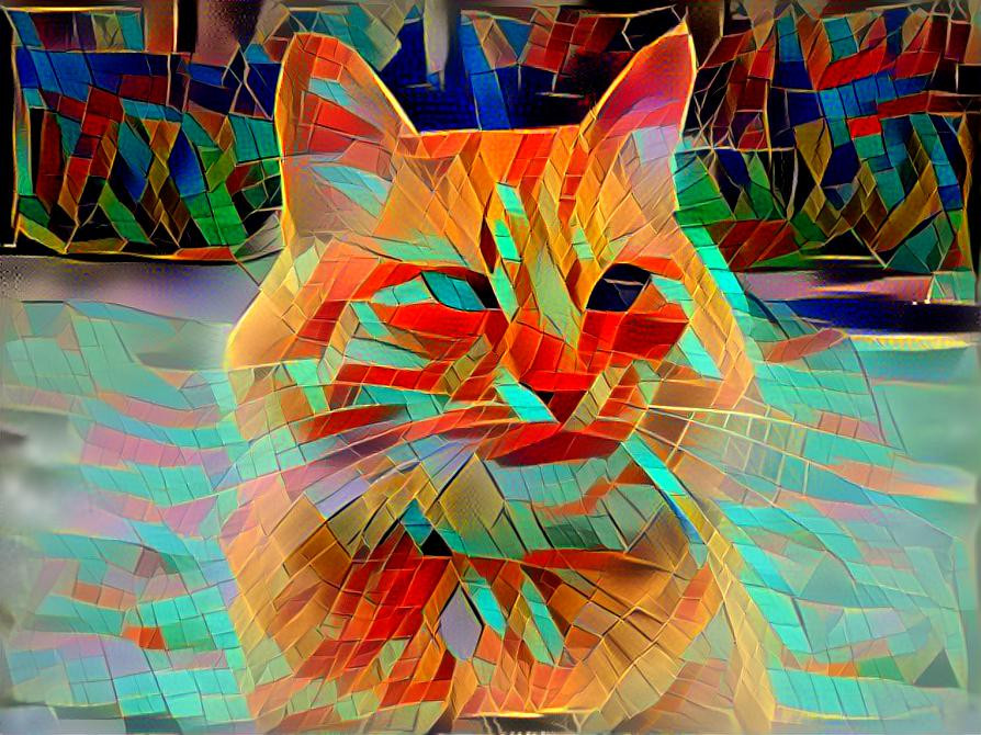 Cristal cat