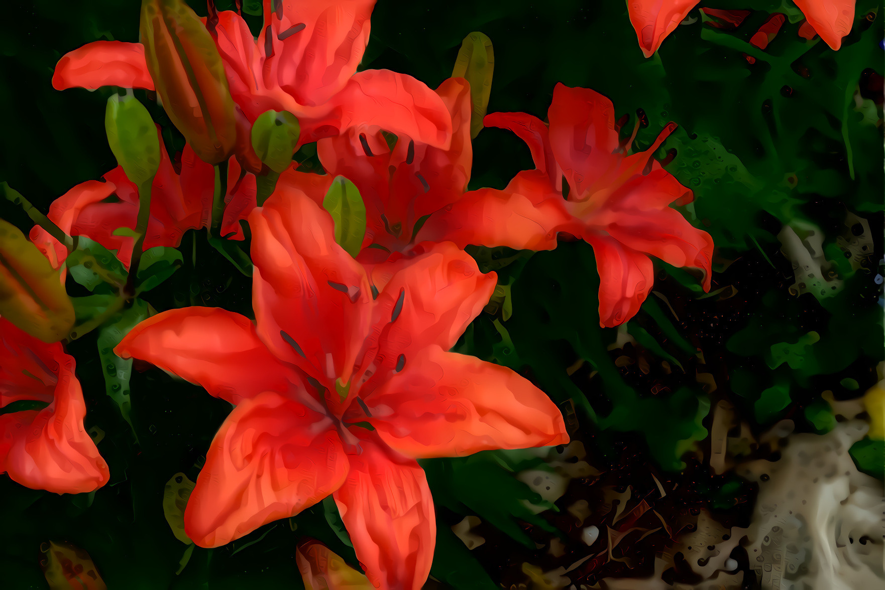 Red Tiger Lilies