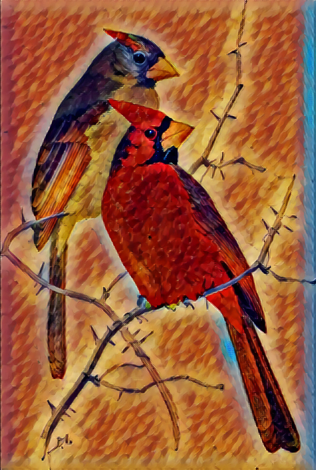 Cool and Warm Colored Birds ... Photo: https://commons.wikimedia.org/wiki/File:Bird_lore_(1906)_(14750940472).jpg#/media/File:Bird_lore_(1906)_(14750940472).jpg