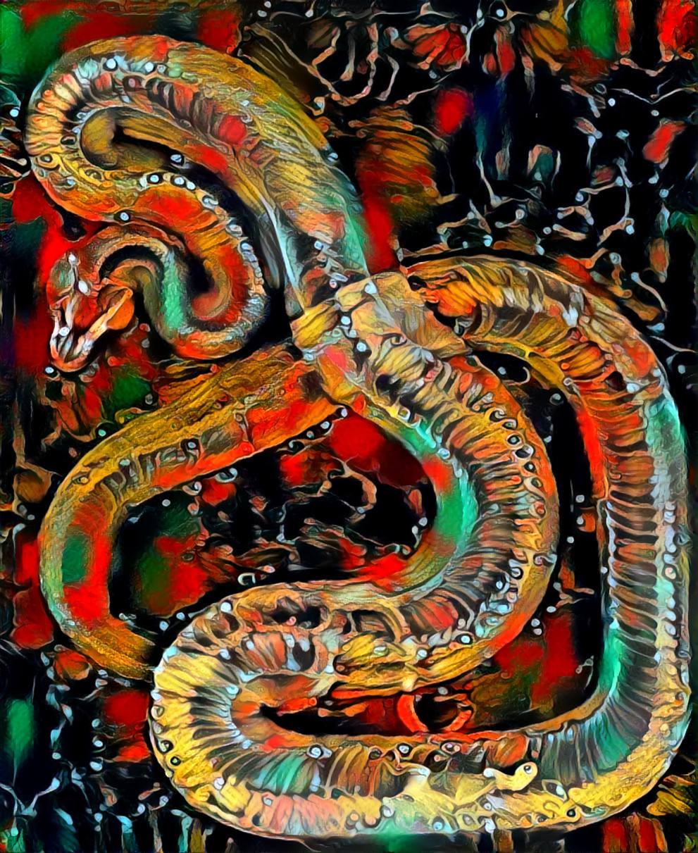snake x-ray retextured, red green black painting