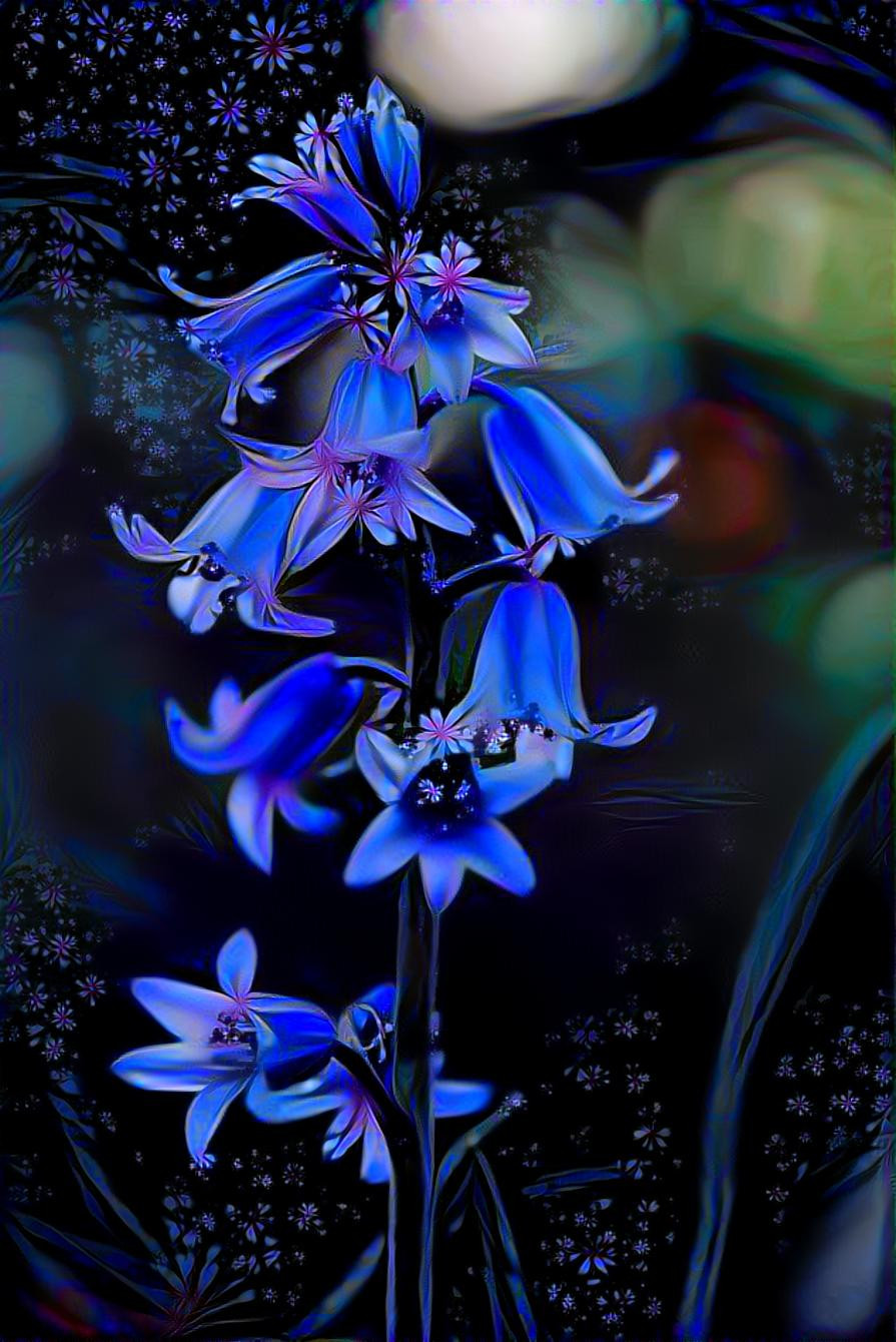 Blue Bells Are Ringing For The New Year