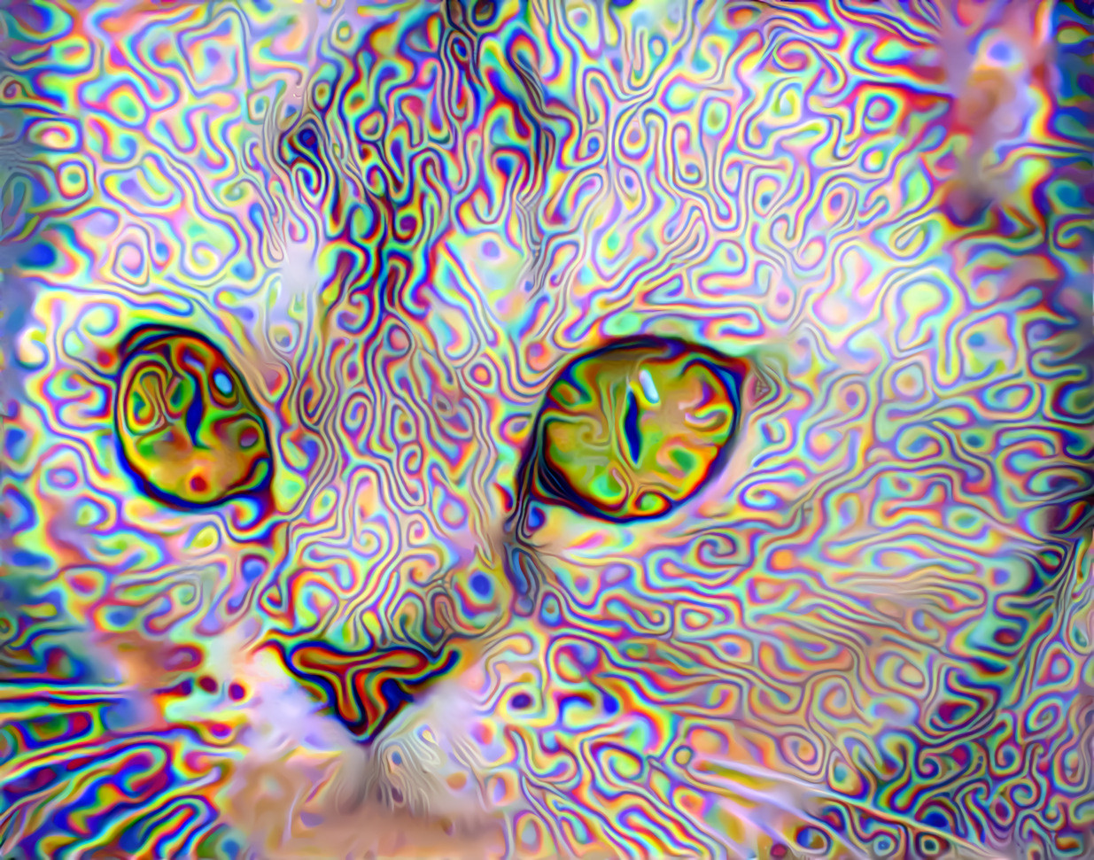 Psychedelic Cat- Style Art by Daniel W. Prust