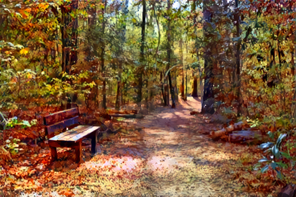 Bench Along the Trail