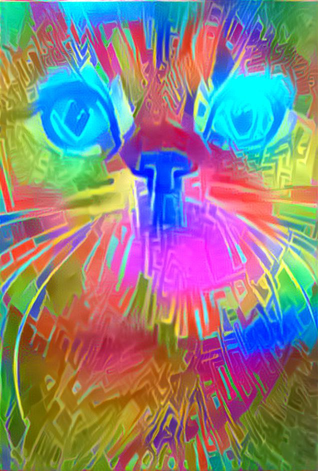 Rainbow Monstrosity Cat 2?