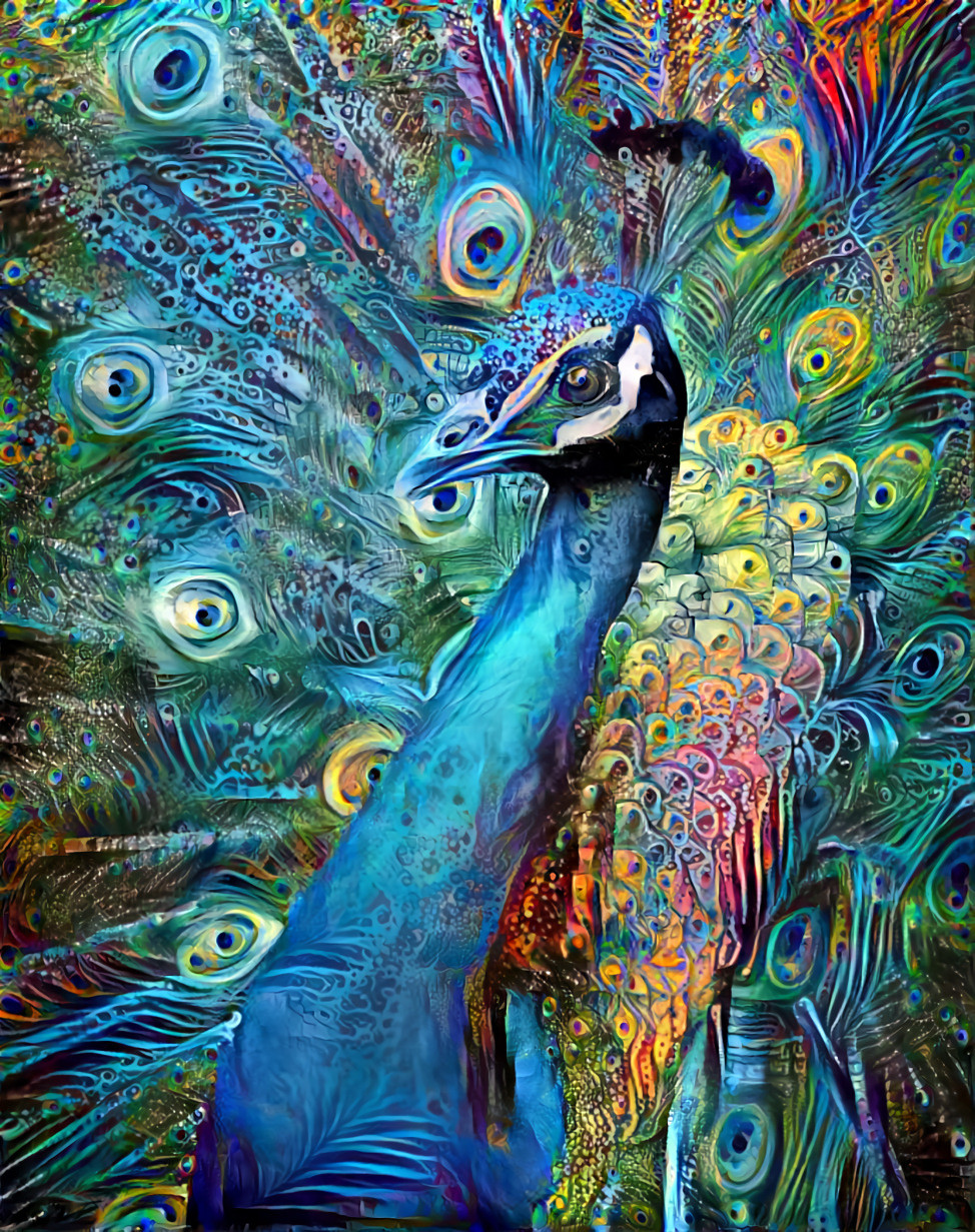 peacock ( павлин )