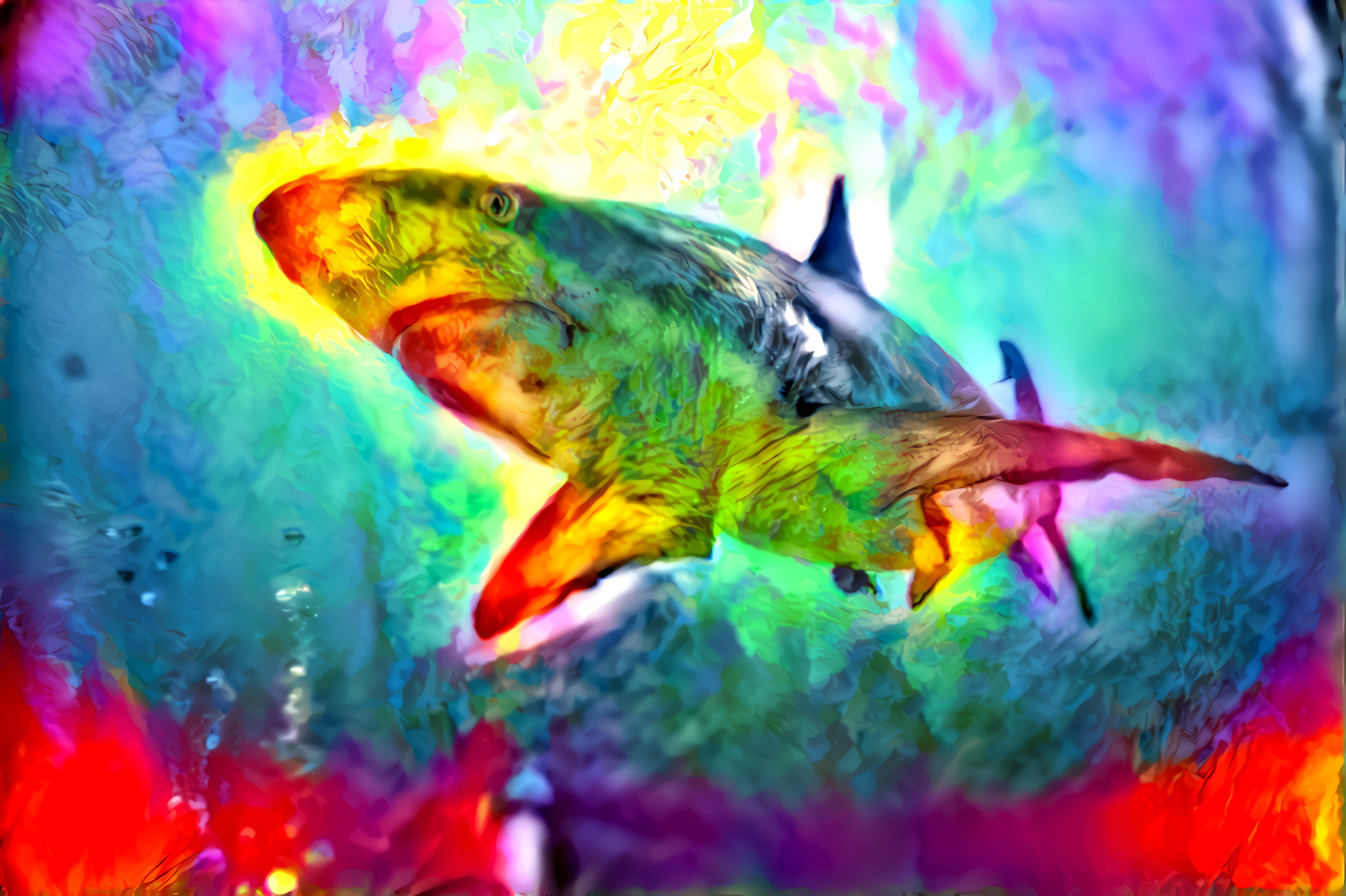Shark swimming in mixed paintings