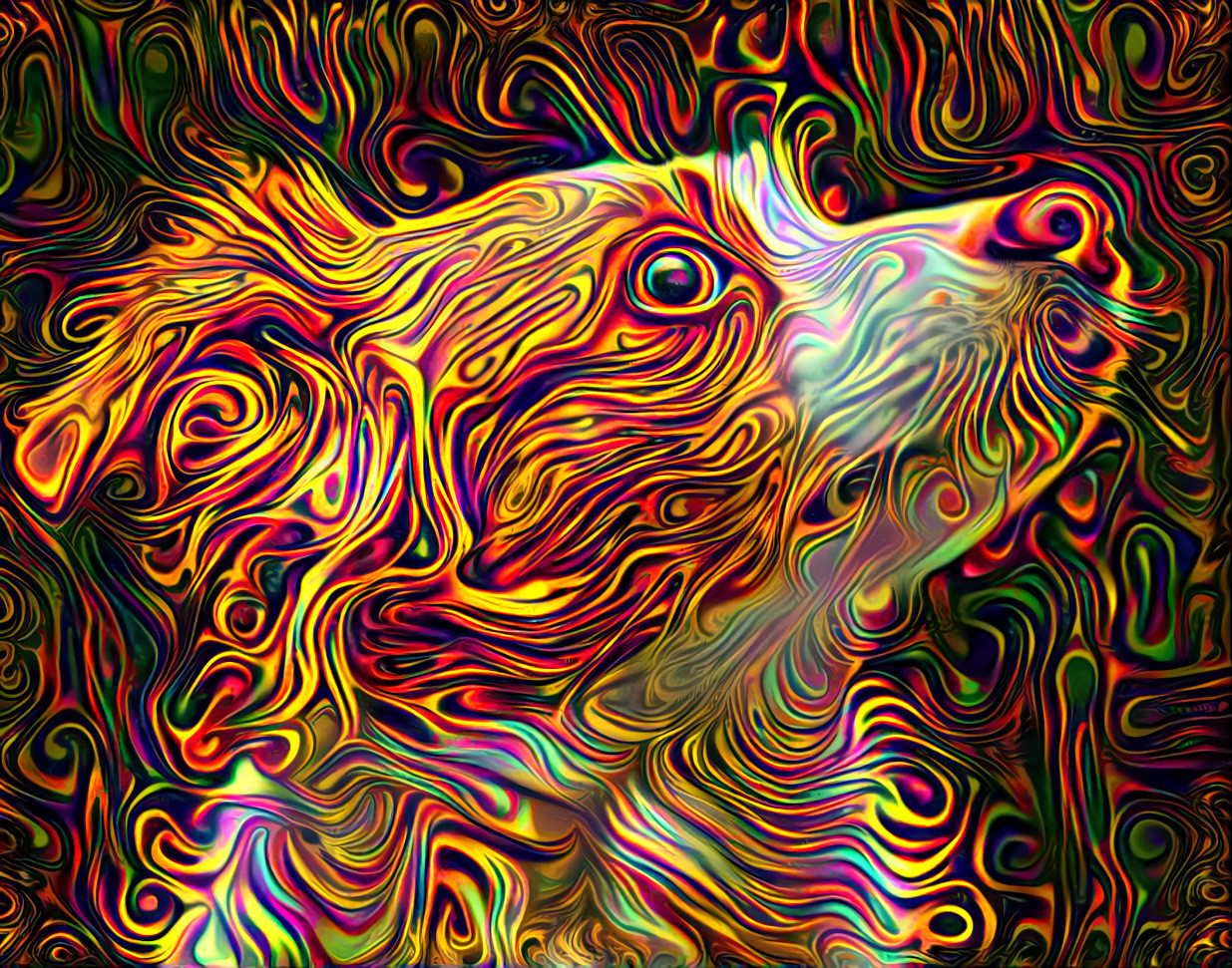 Psychedelic Dog - Style Art by Daniel W. Prust