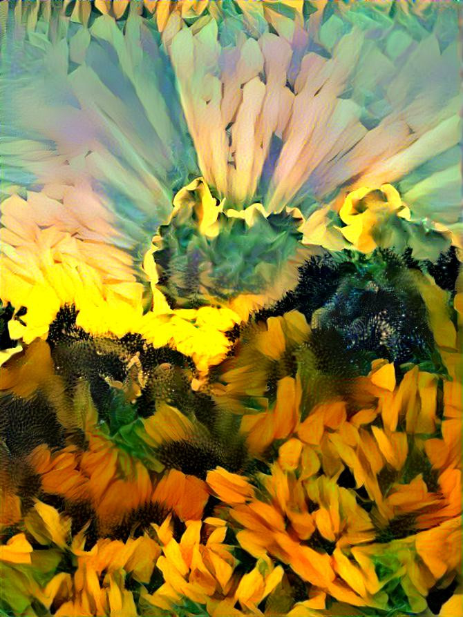 SunflowerSunset714