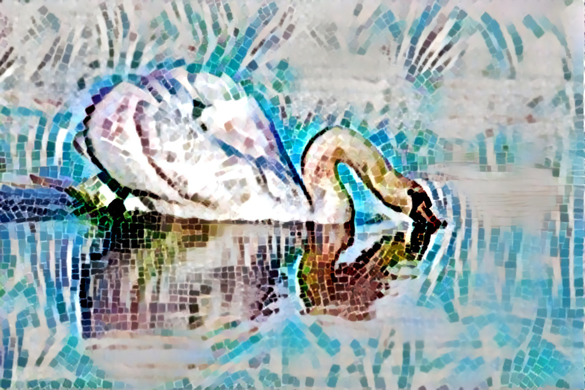 Andrea Stöckel has released this “Swan Water Reflection Lake Nature” image under Public Domain license.