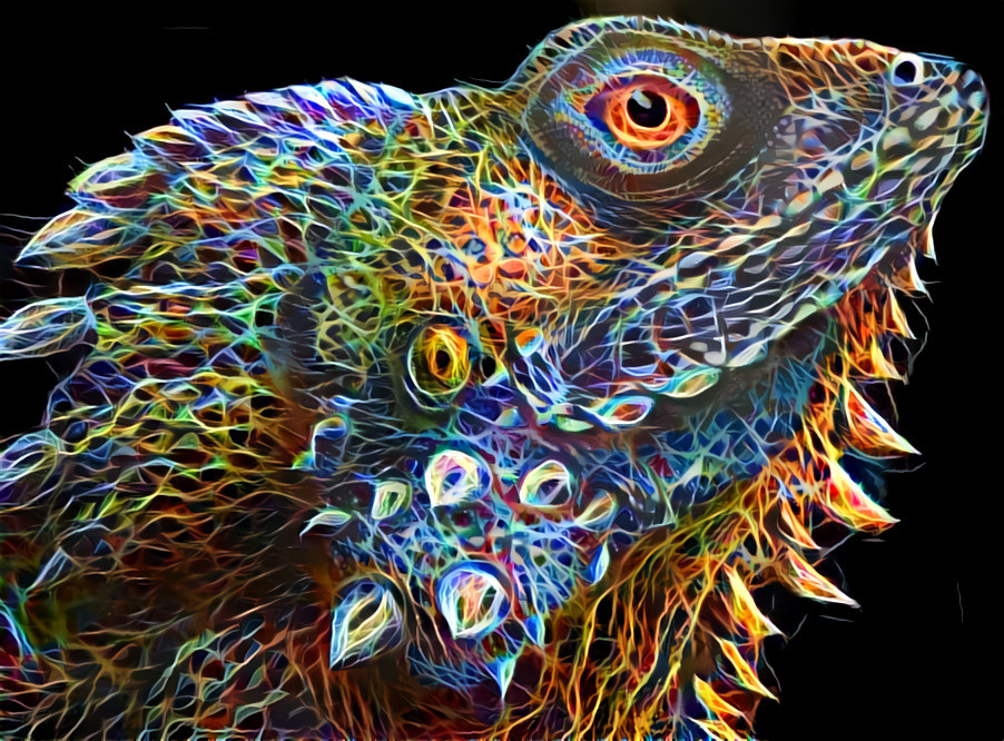 "Flaming lizard" _ source: "Lophosaurus boydii (Boyd's Forest Dragon)" - acrylic on canvas by Krinklebearcat Art _ (210118)