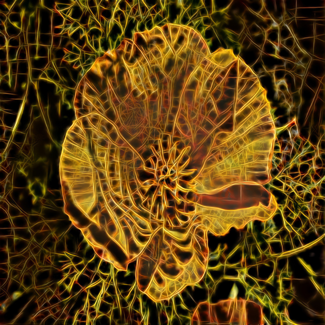 Flower Web