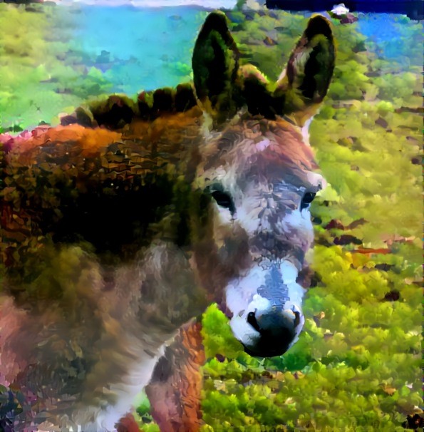 Donkey Dream 3
