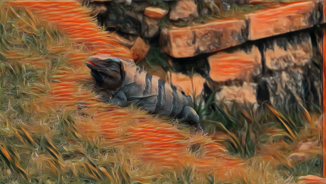 Thin-style Iguana