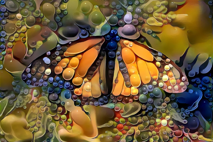 DDG Butterfly