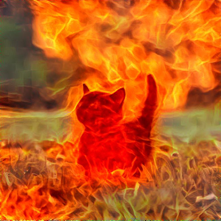 FLAME CAT