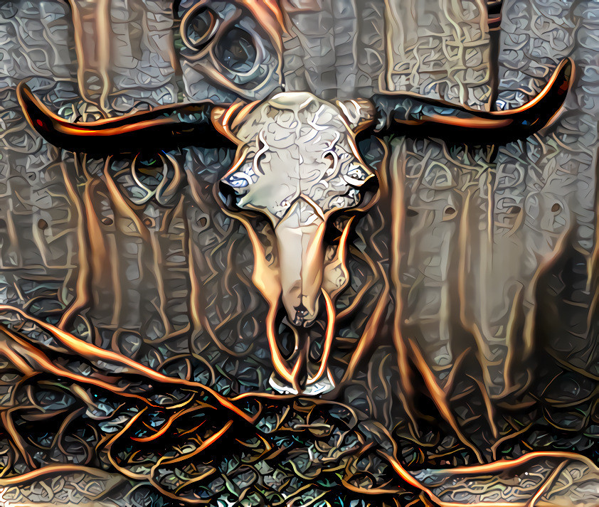 Southwestern cow skull