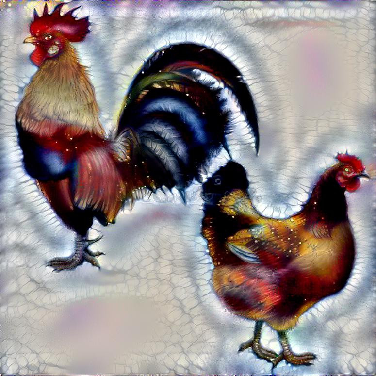 A hen and a rooster