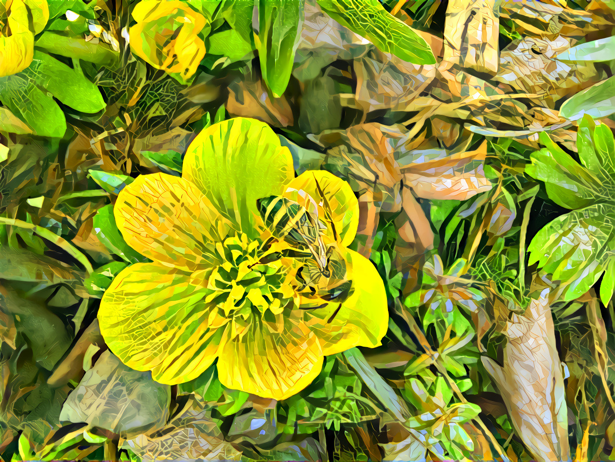Eranthis 5 floral-pattern-background-932_1